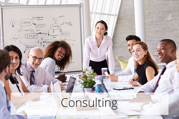 Coaching And Consulting Image